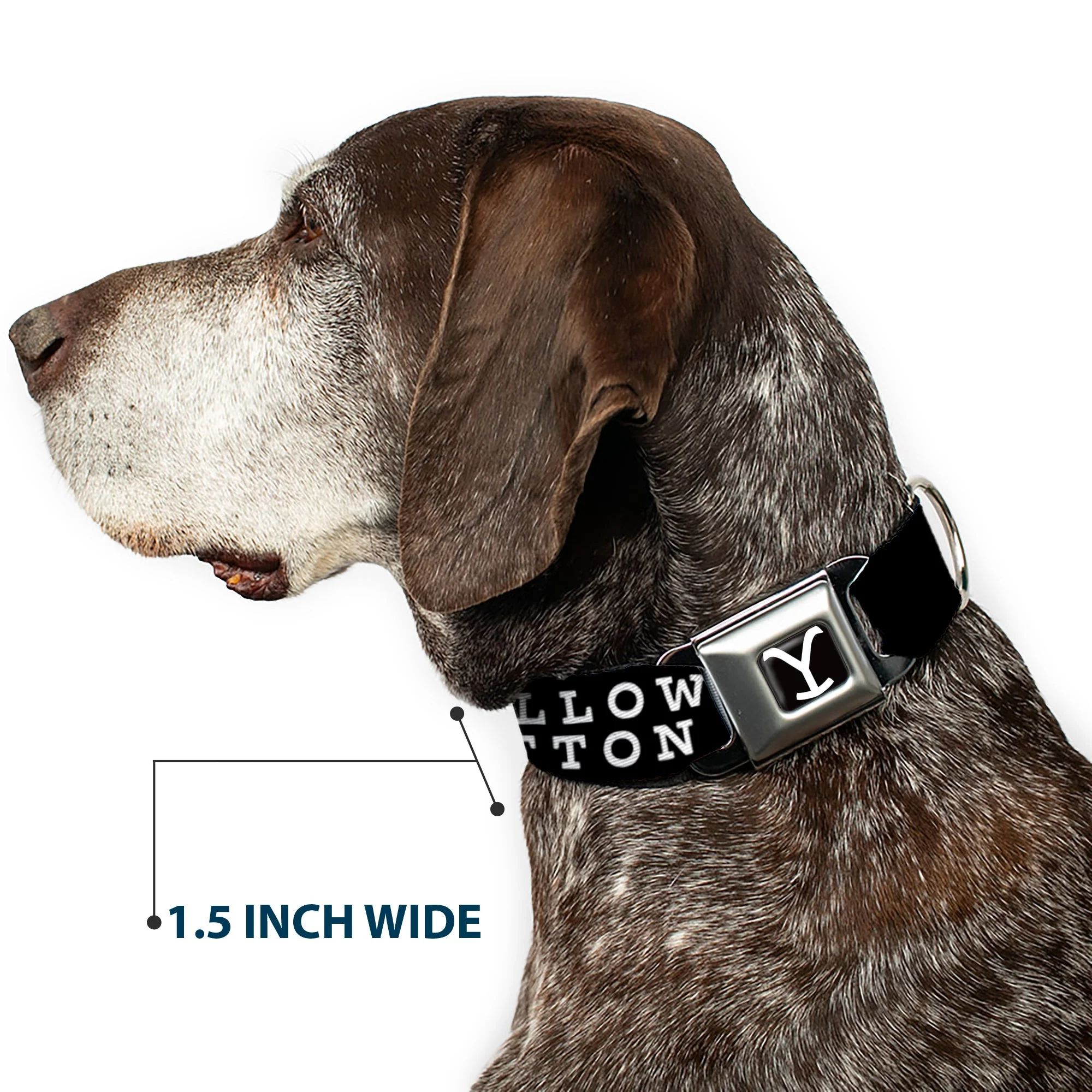 Yellowstone Y Logo Dutton Ranch Seatbelt Buckle Dog Collar - Image 7