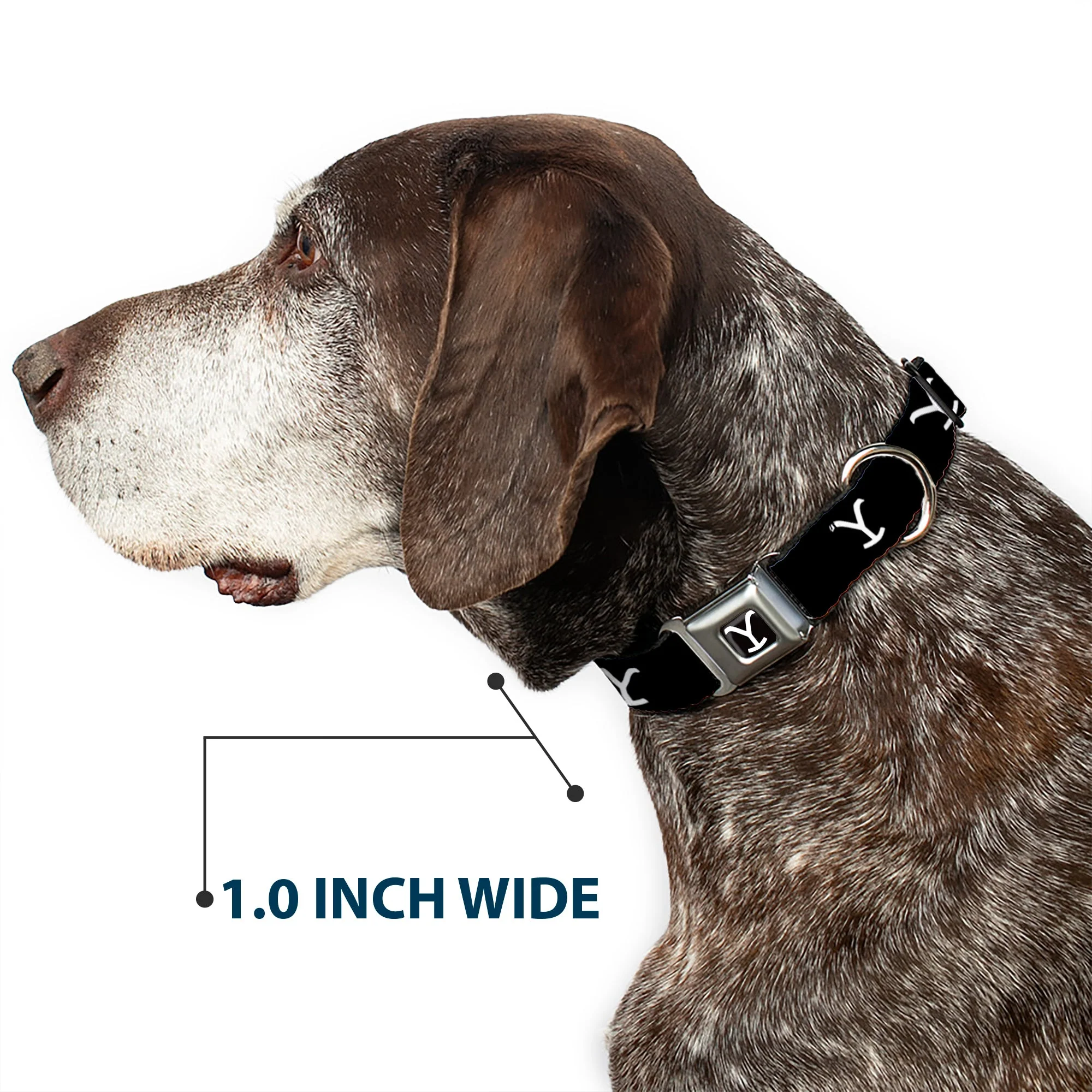 Yellowstone Y Logo Black/White Seatbelt Buckle Pet Collar - Image 6