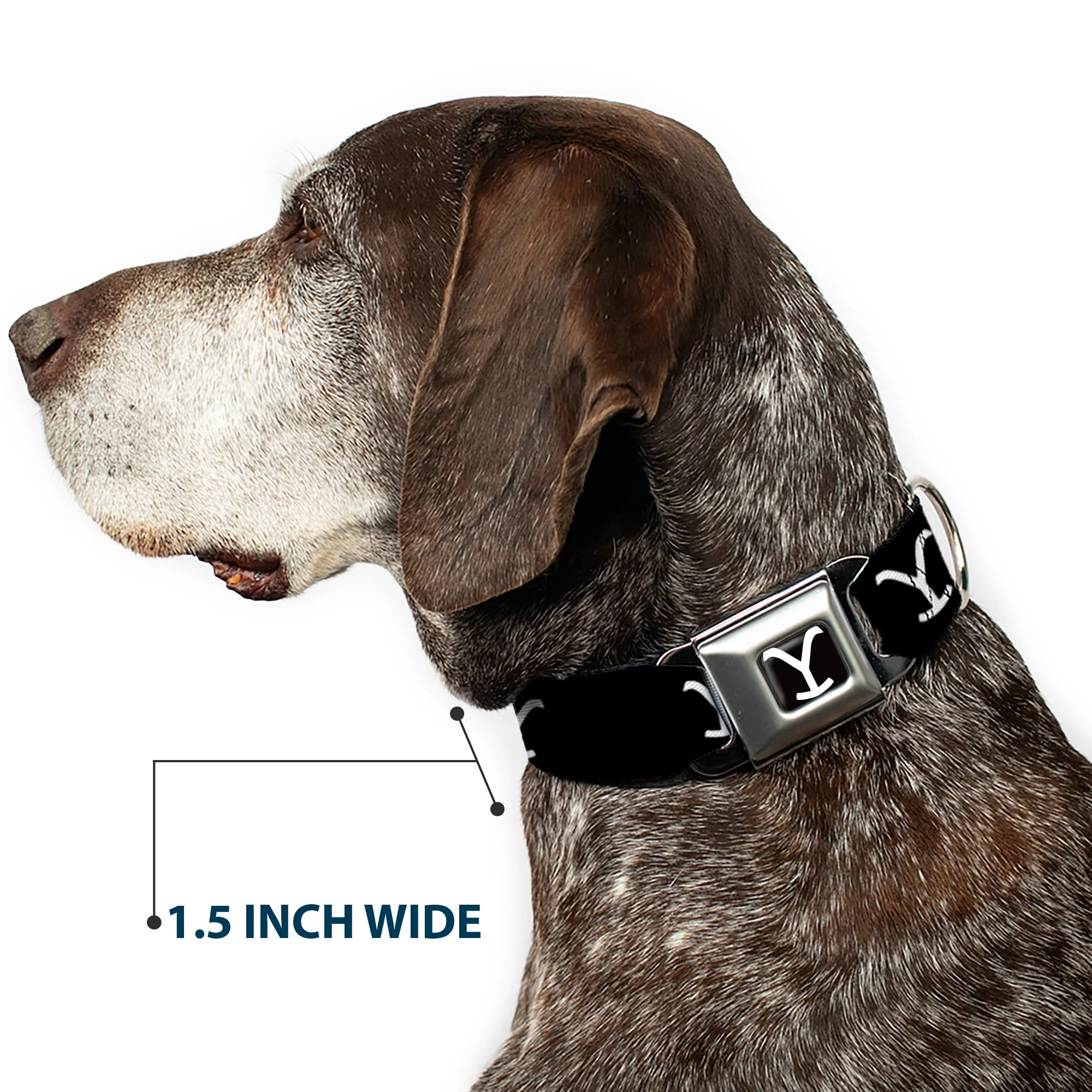 Yellowstone Y Logo Black/White Seatbelt Buckle Pet Collar - Image 7