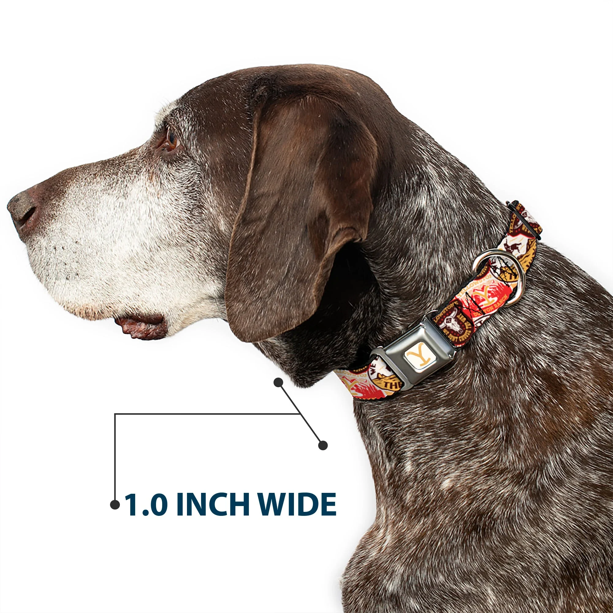 Yellowstone Y Logo Patches Seatbelt Buckle Pet Collar - Image 6